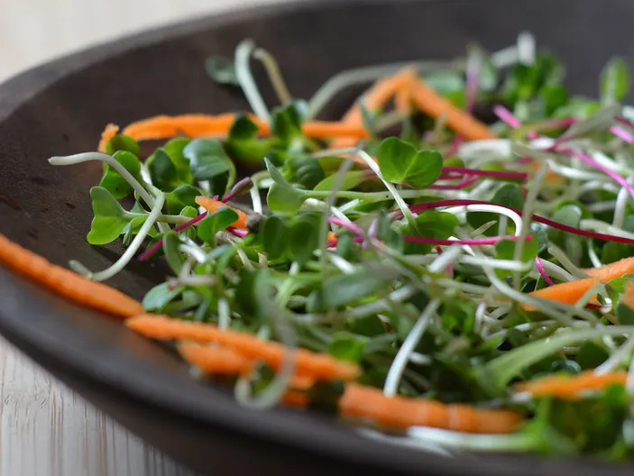 Salada de microverde