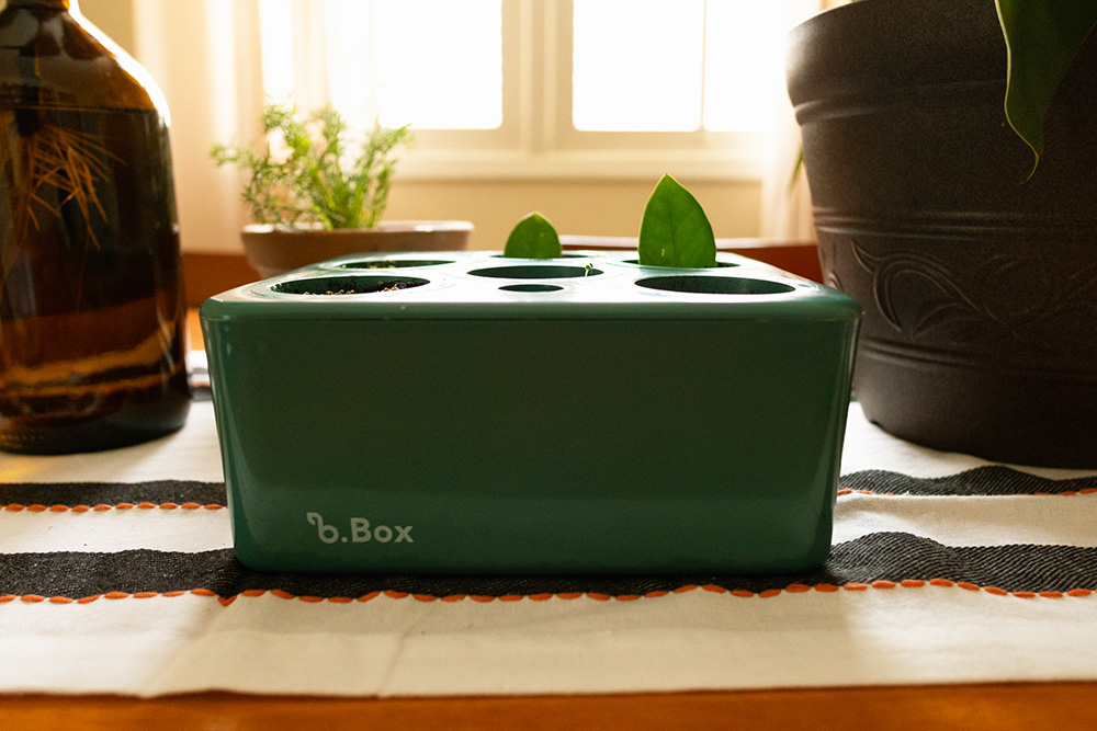 horta inteligente da brota company b box na cor verde sob uma mesa iluminada