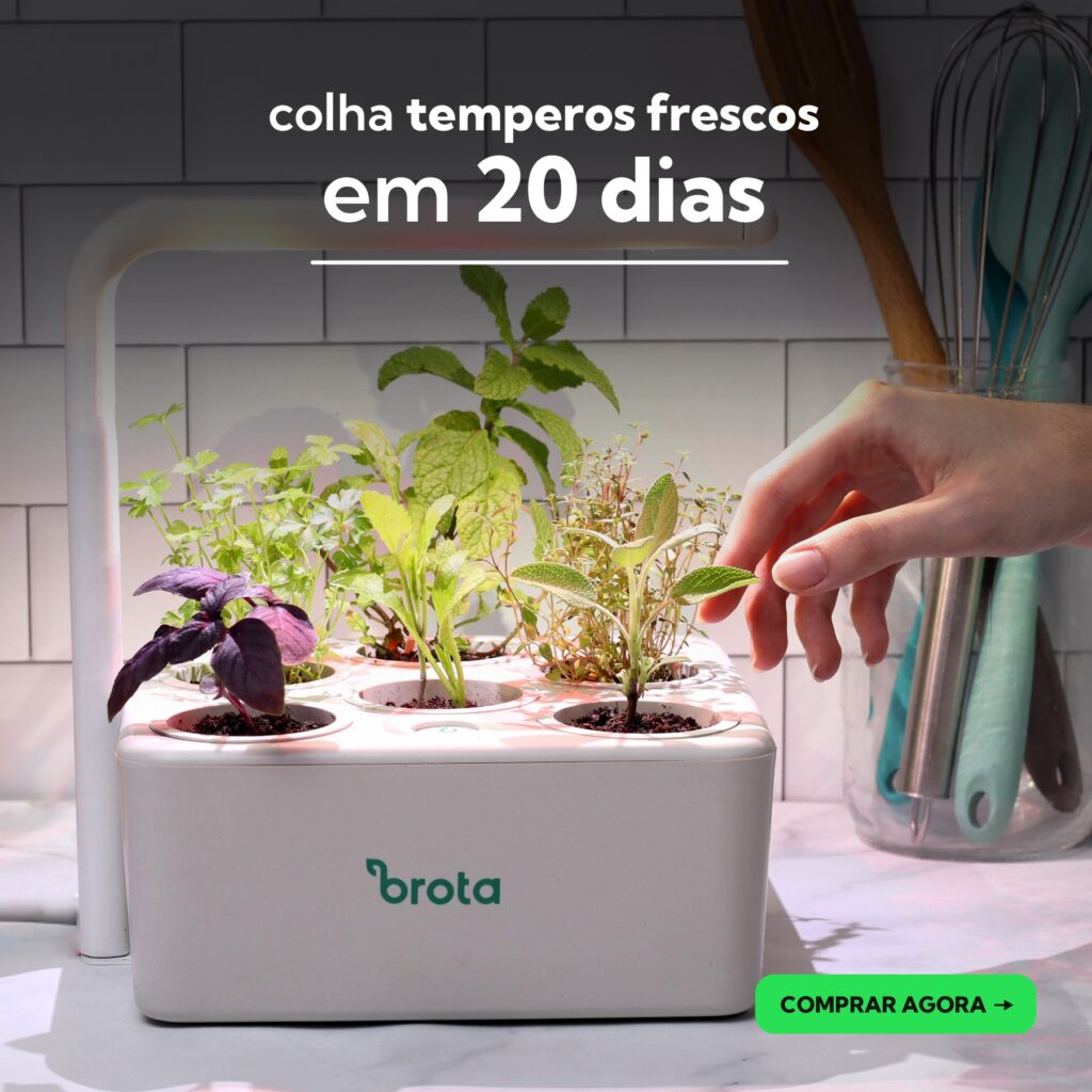 Imagem B Box LED da Brota Company com vários temperos em uma cozinha com uma mão colhendo tempero, com o texto "olha temperos frescos em 20 dias"