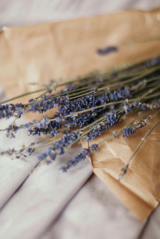 Flores de lavanda sob papel pardo